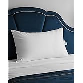 finbuco Goose Down Pillow for Sleeping, Hotel Quality 750 Fill Power Queen Size Pillow with Pillowcase - Bed Pillow for Master Bedroom, Support for Back, Side, Stomach Sleepers, 1 Pack, 20x30 Inch