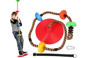 AMYESE Tree Swing for Kids - Heavy Duty Climbing Rope with Disc Swing Seat for Boys Girls Teens Indoor Outdoor Activity,Colorful Playground Backyard Accessory,Including Carabiner & Hanging Strap