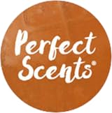 Perfect Scents Plug In Refill Gingerbread Spice 20ml 3volution Compatible view 3