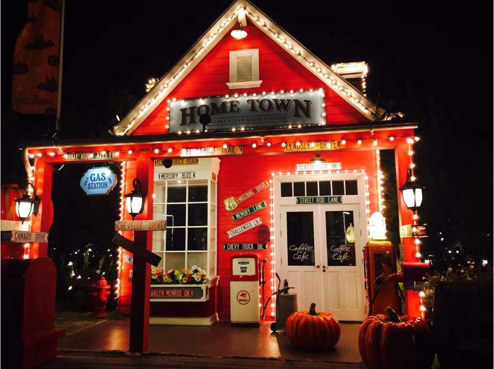 Outdoor Garden String Lights, 25ft G40 OxyLED Garden Patio Outside