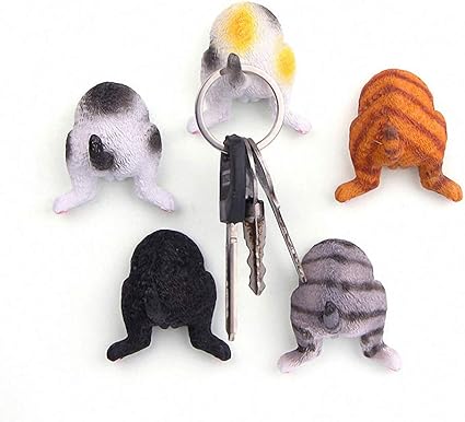 Amazon Cat Butt 冷蔵庫用ピクチャーマグネット かわいい 面白い装飾付き 子猫の写真 マグネット 猫好きの方へのギフトセット 冷蔵庫用 マグネット ロッカー マグネット オフィス マグネット キッチンマグネット 冷蔵庫や幼児 子供用 5個セット Future Life 冷蔵庫