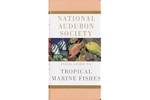 National Audubon Society Field Guide to Tropical Marine Fishes: Caribbean, Gulf of Mexico, Florida, Bahamas, Bermuda