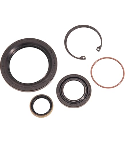 Amazon.com: James Gaskets 12077 Main Drive Gear Seal - Inner