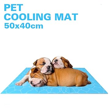 Allisandro Tappetino Rinfrescante Per Cane Gatto Tappetino Refrigerante Materassino Lettino Raffreddamento Automatico Per Estate Innocuo Facile Da