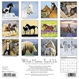 Image de What Horses Teach Us 2018 Calendar