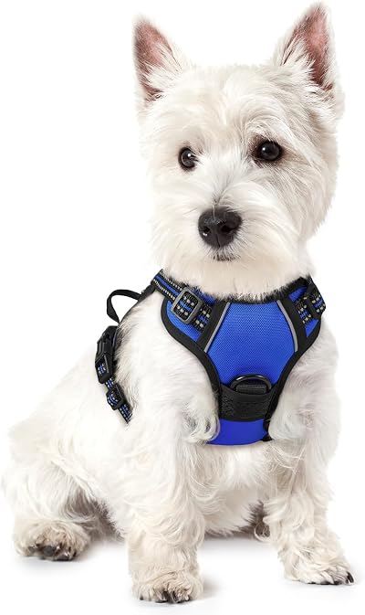 rabbitgoo Dog Harness Small No Pull Adjustable Reflective Blue XS