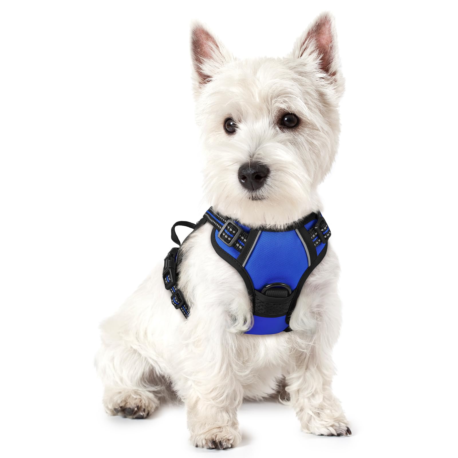 rabbitgoo Dog Harness Small Dog No Pull Pet Harness with 2 Leash Clips, Adjustable Soft Padded Pet Vest, Reflective No-Choke with Easy Control Handle for Training or Walking, Blue, XS