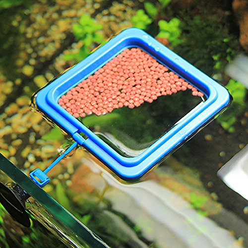 6 Mtsooning+Aquarium+Feeding+Station+Floating