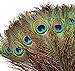 Blisstime Peacock Feathers 8