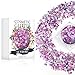 Purple Fairy - Iridescent Cosmetic Glitter, Chunky Glitter Festival,Shining Makeup Glitter for Beauty Makeup Face Body Hair Nails