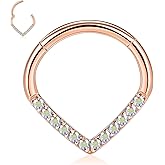 Teadrdrop Nose Hoop Ring 16G Septum Ring Septum Jewelry Opal CZ Daith Earring Surgical Steel Hinged Segment Seamless Clicker Ring Tragus Rook Helix Cartilage Conch Hoop Piercing Jewelry 8mm 10mm