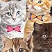 Duck 241704 Printed Duct Tape Single Roll, 1.88 Inches x 10 Yards, Kitten Kitty Cat