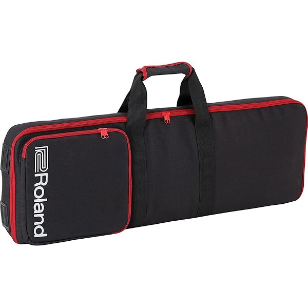 Amazon.com: Roland CB-B88V2 Keyboard Gig Bag : Musical Instruments