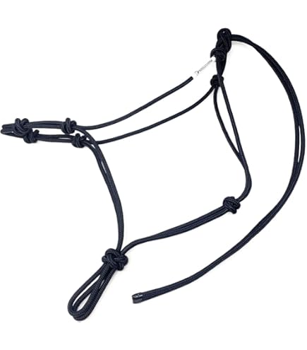 Cravache D’équitation Noire En Similicuir – Confortable, Solide, Avec Boucle De Port – Pour Entraînement Et Spectacle