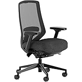 Branch Ergonomic Chair Pro, Mesh Office Chair with 14 Points of Adjustment | Height, Depth and Tilt Adjustable, 5D Armrests, Forward Tilt, Smooth Recline, and Lumbar Support, Black