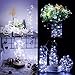 2 Set Fairy Lights Fairy String Lights Battery Operated Waterproof 8 Modes 100 LED 33ft String Lights Copper Wire Firefly Lights with Remote Control(Timer) for Bedroom Wedding Festival Decor--Warmtas