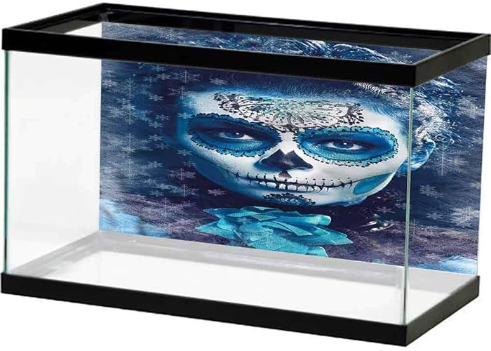 Top 7 Recommended Sugar Scrub Shark Tank