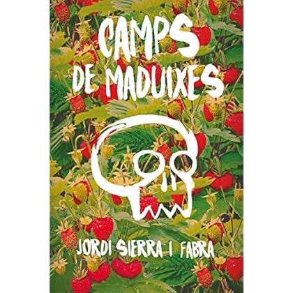 Camps de maduixes (Gran angular)