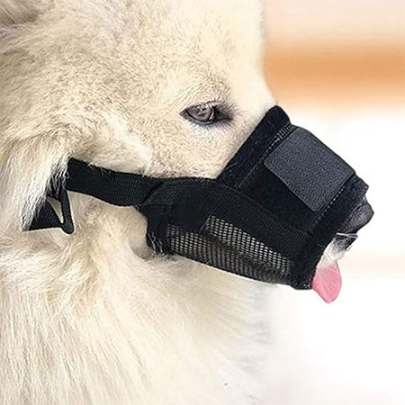 dogs with black muzzles