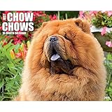 Chow Chows 2015 Wall Calendar