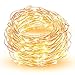 HOPDAY LED String Lights, Copper Wire Lights for Seasonal Decorative Gardens Christmas Holiday Wedding Parties Home Bedroom –Warm White (100 LEDs 33 ft, Low Voltage Plug)