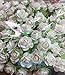 100 Pure White Mulberry Roses 10 - 15 mm. Paper Flowers Scrapbooking Embellishment