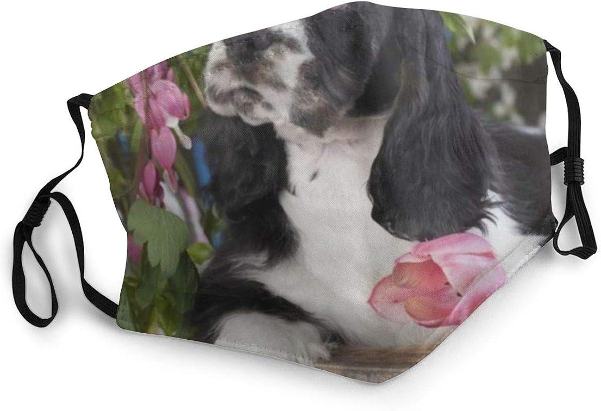 cocker spaniel bandanas
