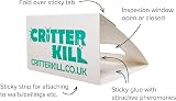CritterKill Spider Trap 30 Pack - Child & Pet Safe, Eco Friendly Glue view 2