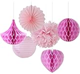 SUNBEAUTY Pink Series Pink Tissue Paper Pom Poms Paper Fan Paper Honeycomb Balls Hearts Drops and Pink Paper Lanterns Pack of 6 (Pink Series)