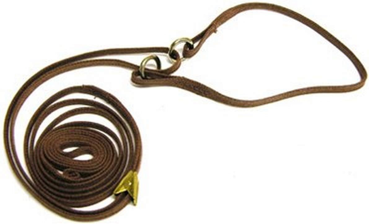 Resco Professional CordoHyde Martingale Dog Show Lead, 3/