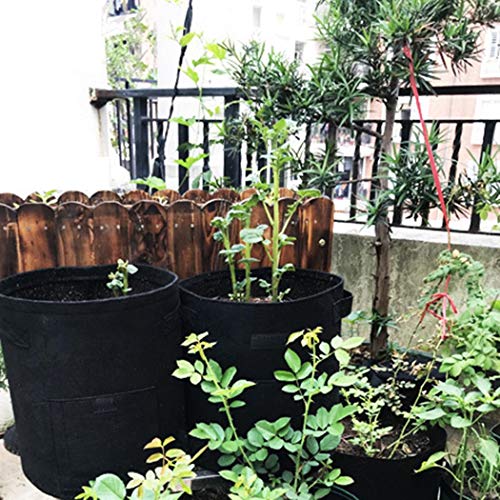Alishebuy 1Pack Potato Grow Bag,Aeration Waterproof Fabric Sweet Potato Planter,Window Vegetable Peanut Growing Box Bucket Pot for Nursery Garden(Black) - Thumbnail 6