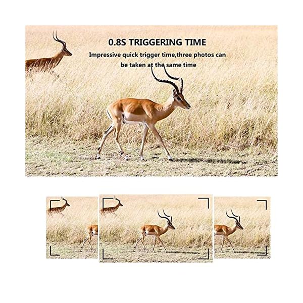 EXCLVEA Wildkamera 12MP 1080p Wildlife-Kamera Mit PIR-Sensor 65ft Infrarot-Nachtsicht-IP56 Wasserdicht für die… – Bild 3