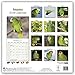 Amazon Parrot Calendar - Parrot Calendar - Bird Calendars - Calendars 2017 - 2018 Wall Calendars - Monthly Wall Calendar by Avonside