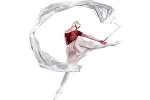 Fanfanwin 98" Dance Streamer with Scalable Rod, Gymnastics Dance Ribbon Artistic Twirling Flag, Church Worship Adoration Banner for Dancer and Church Liturgical Praise (Silver)