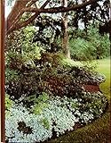 Unknown Binding Shade gardens (The Time-Life encyclopedia of gardening) Book