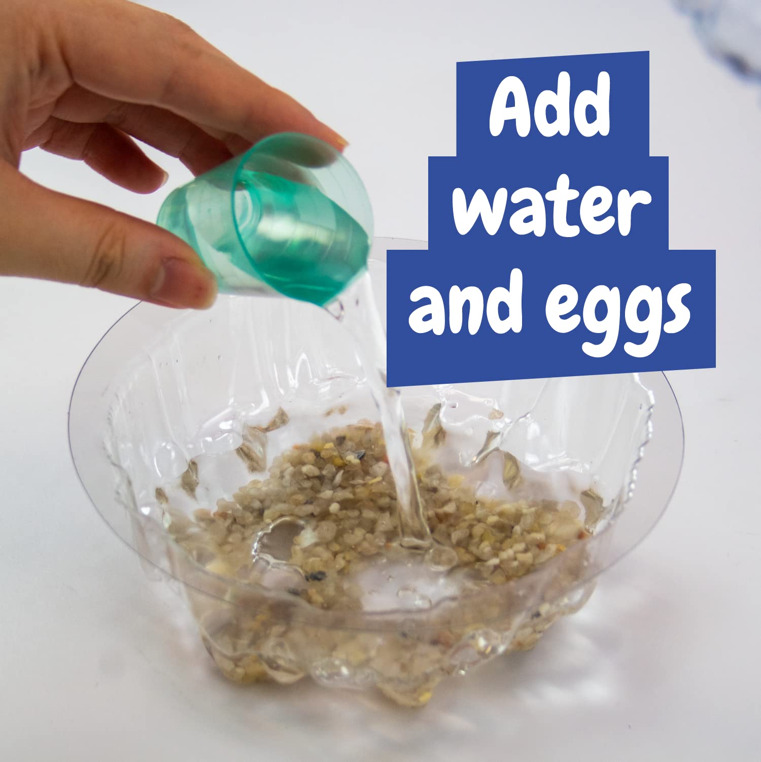 Science4you Artemias Aqua Creatures (Triops Family) - Aquatic Dragons Kit for Kids, Sea Creatures Aquarium + Aqua Monkey Dragon Eggs Included, Ecosystem, Toy and Gift for Kids Age 6 7 8 9 10+
