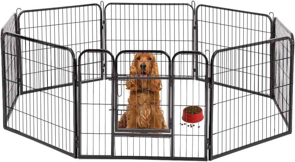 24 exercise pen