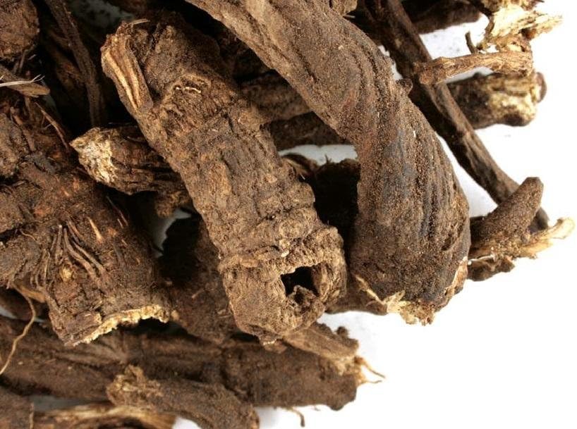 OSHA Root Whole (1 lb)