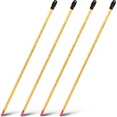 Saysurey 4 Pcs General Purpose Lab Thermometer, Glass, Total Immersion | 12 Inch Liquid in Glass Laboratory Thermometer, -20 to 110℃/ 0 to 230℉ Dual Scale, Science Project, Food Beverage Processing