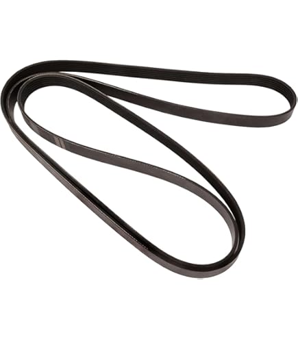 Amazon.com: Continental OE Technology Series 4060445 6-Rib, 44.5