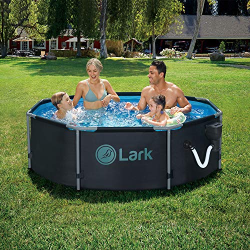 Lark 8