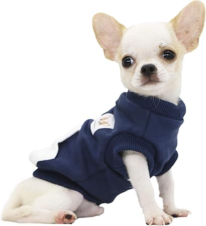 chihuahua for sale north east