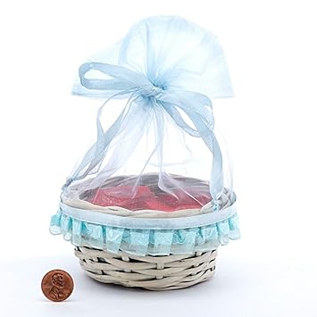 Amazon Com Light Blue Willow Organza Top Baskets Little Easter Gift