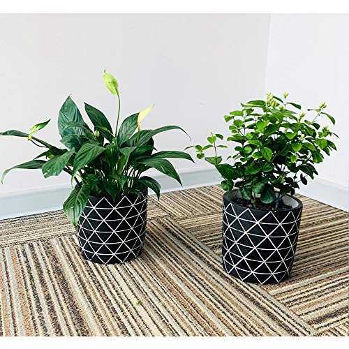 GEPEGE Cement Succulent Planter 6 Inch Flower Pot, Concrete Modern Planter - Thumbnail 3