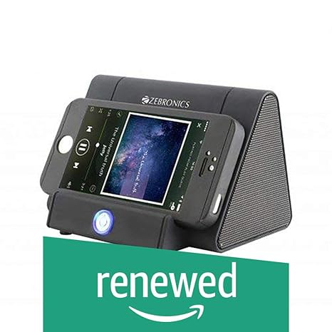 zebronics amplify portable wireless speaker