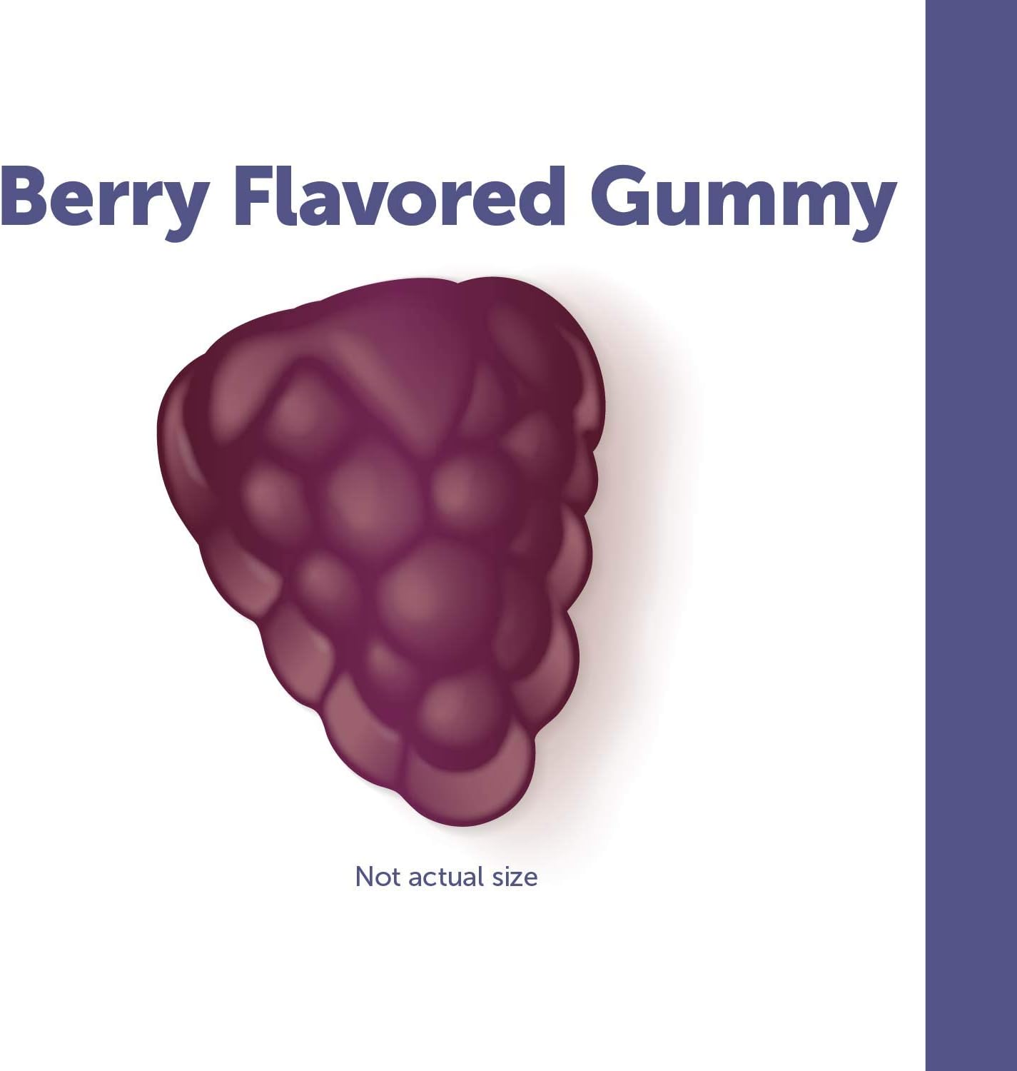 Nature's Way Sambucus Elderberry Gummies, Herbal Supplements with Vitamin C and Zinc, Gluten Free, Vegetarian, 60 Gummies (Packaging May Vary): Health & Personal Care
