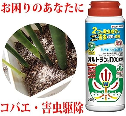 Amazon コバエ 害虫 駆除 オルトラン 0g 観葉植物 花 野菜 観葉植物 オンライン通販