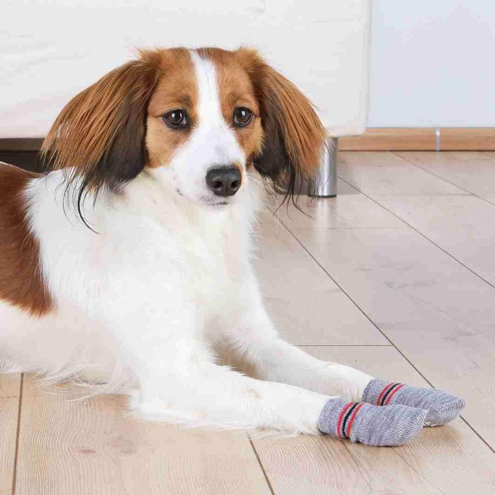 TRIXIE dog socks XL - 6 cm paw width - 16 cm high - non-slip sole - cotton with elastane - washable at 30 °C - grey - 19506 - Image 3