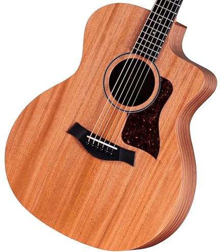 Amazon.com: Taylor GS Mini-e Mahogany, Acoustic Guitar : Musical