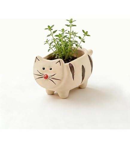 Amazon.com: Abbott Collection Small Tabby Cat Planter | Sculpted